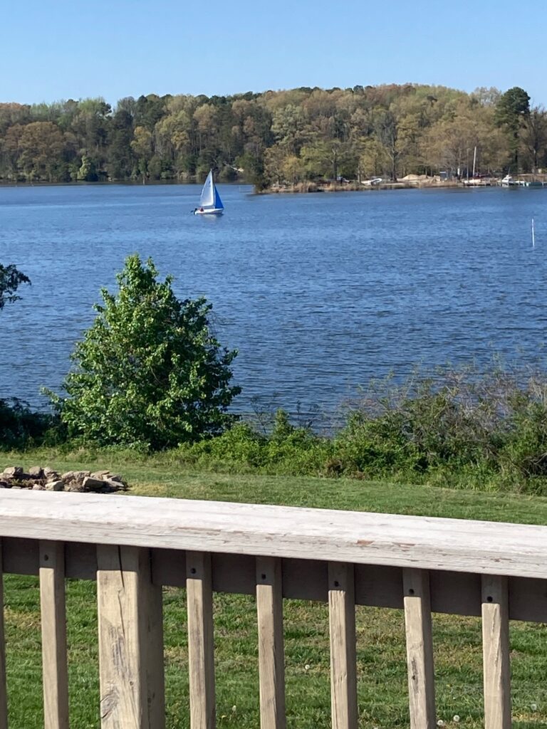 sailboat on bay